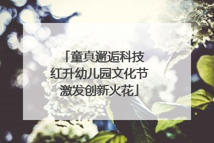童真邂逅科技 红升幼儿园文化节激发创新火花